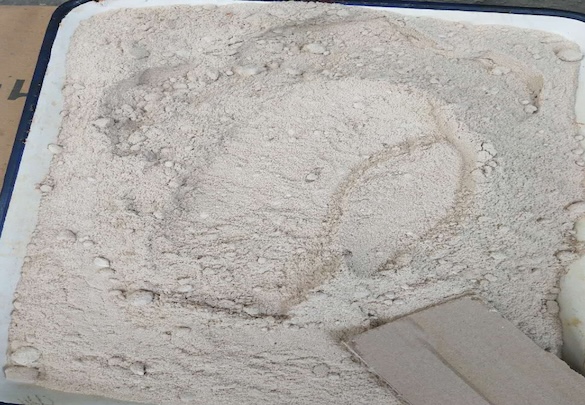 Appearance image for 6-Hydroxy-3-pyridazinecarboxylic acid monohydrate