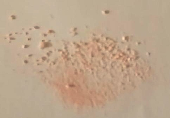 Appearance image for 6-Bromoisoquinoline