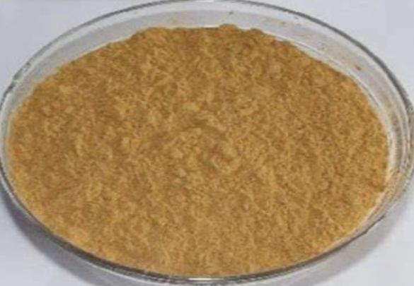 Appearance image for 8-Bromo-2-chloroquinoline