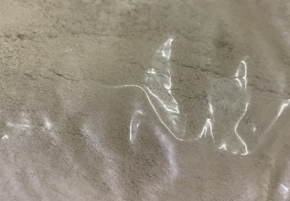Appearance image for 4-Acetamidopyridine
