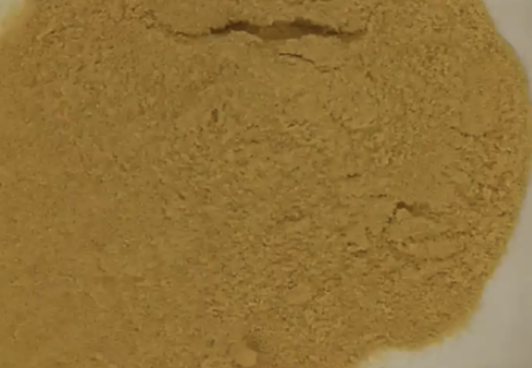 Appearance image for 5-BroMopyridazin-3-aMine