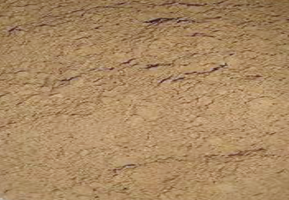 Appearance image for Ethyl iMidazo[1,5-a]pyridine-8-carboxylate