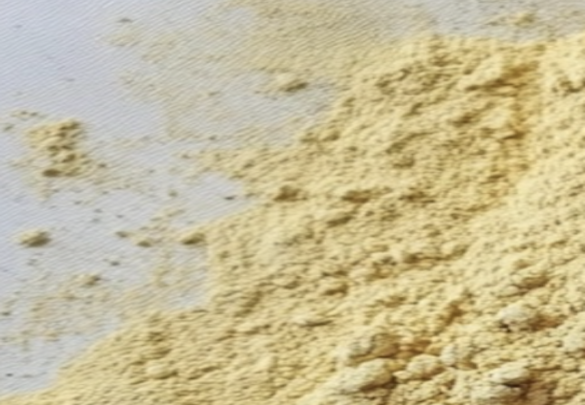 Appearance image for Ethyl pyridine-2-carboxylate 1-oxide