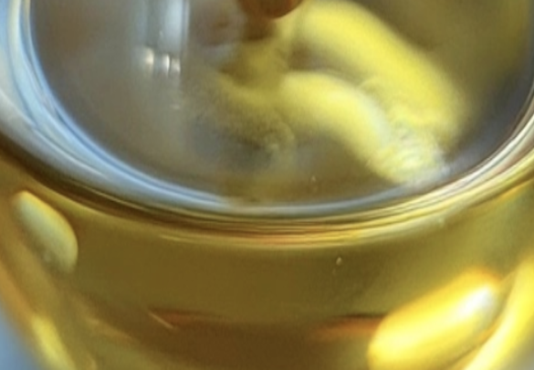 Appearance image for 1,10-Dichlorodecane