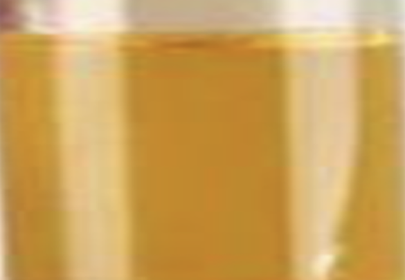 Appearance image for 4-Chloro-6-trifluoromethylpyrimidine