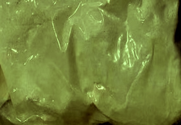 Appearance image for 3-iodoPyridazine