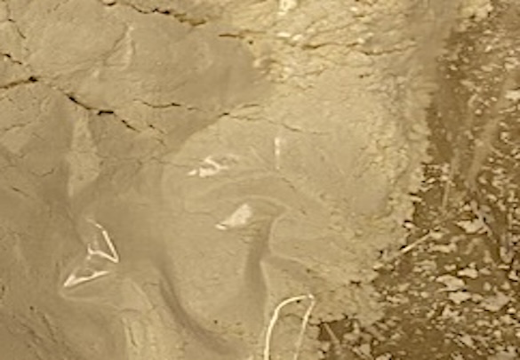 Appearance image for 2-Anilinopyridine