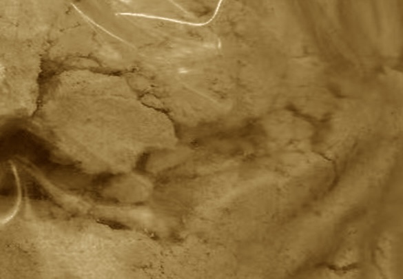 Appearance image for 7-Methoxy-4-quinolinol