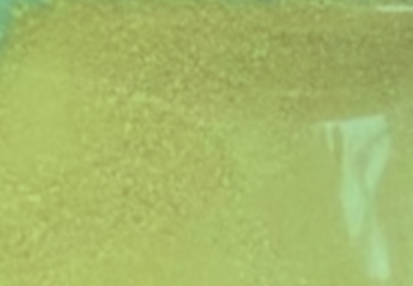 Appearance image for 6-chloro-4-iodo-N-methylpyridin-3-amine