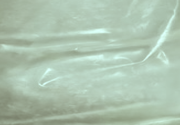 Appearance image for Methyl 6-aminonicotinate