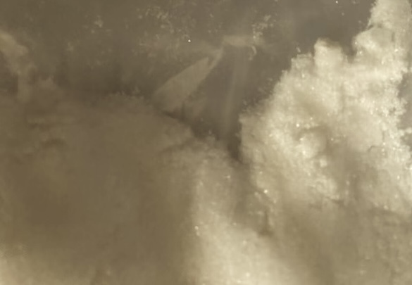 Appearance image for 2-Methyl-3-oxo-2,3-dihydropyridazine-4-carboxylic acid