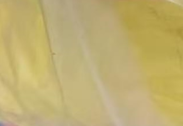 Appearance image for 2-Amino-6-benzothiazoleacetic acid