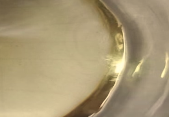 Appearance image for 2-methoxy-2-methylpropanoic acid