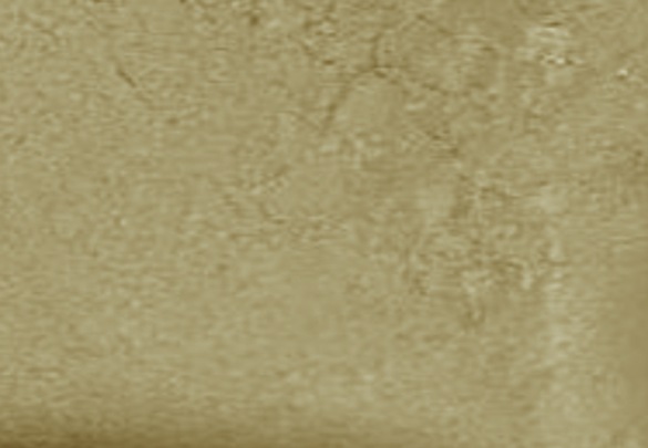 Appearance image for 2-chloro-5-Methoxypyridin-4-aMine