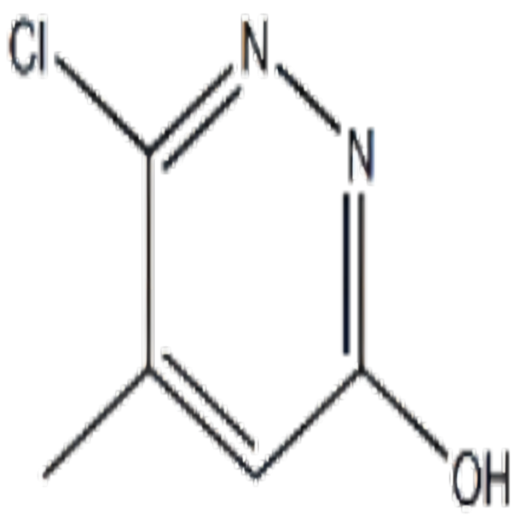 3-hydroxy-5-methyl-6-chloropyridazin